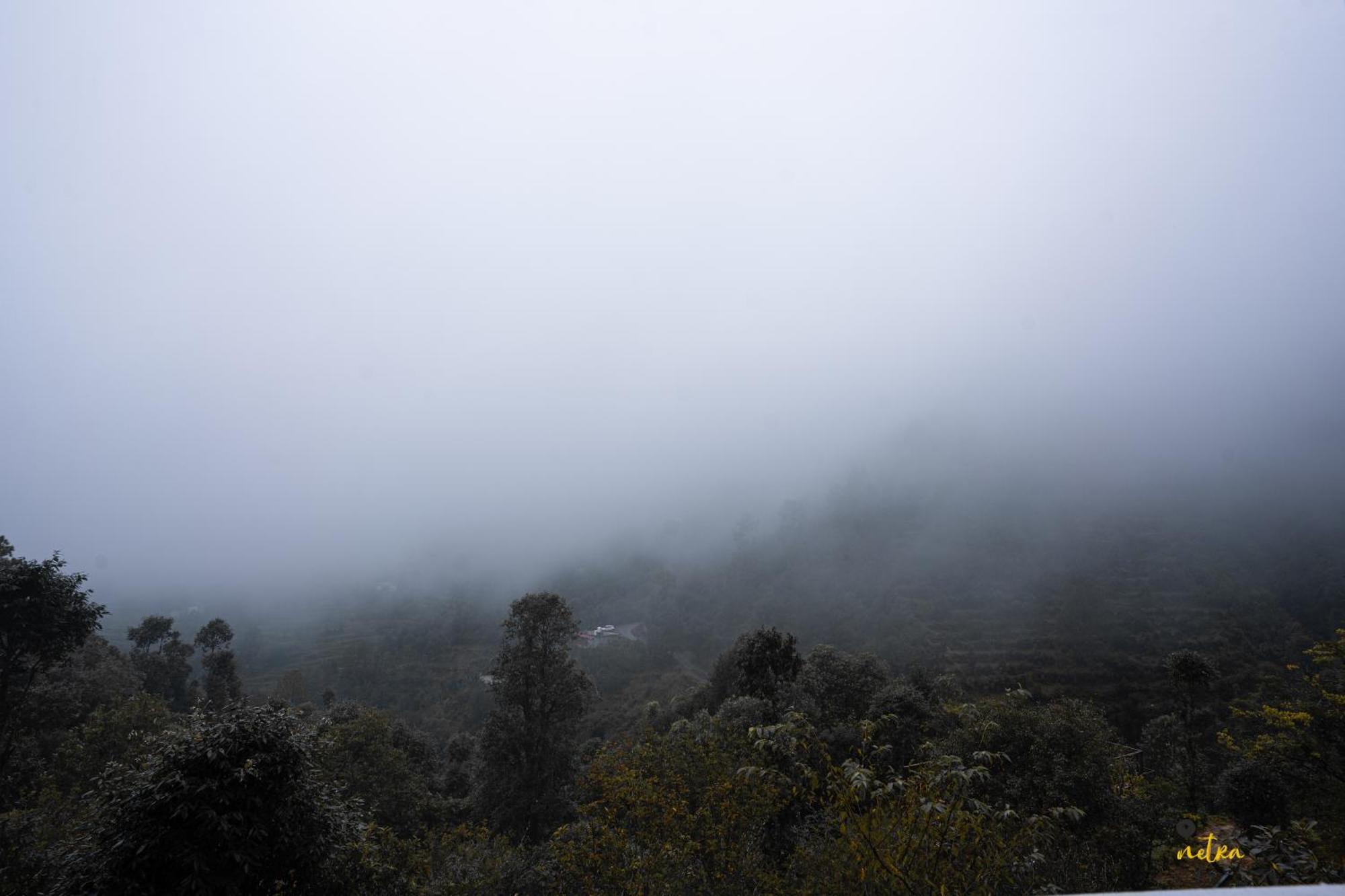 The Rare One'S Mukteshwar - Resort & Cafe Kültér fotó