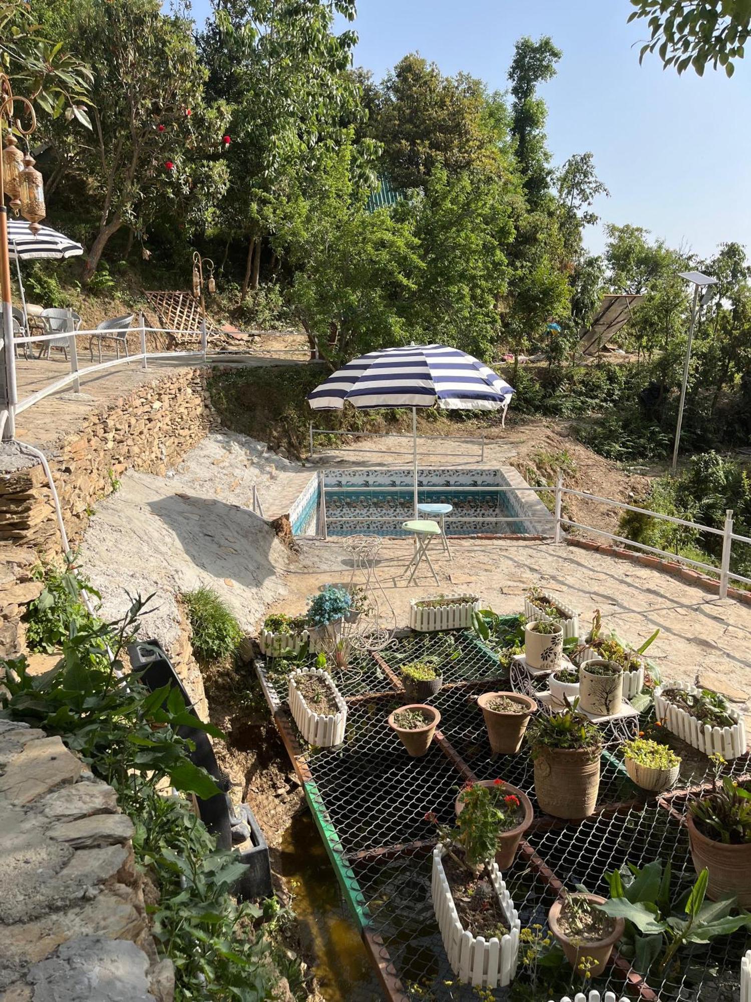 The Rare One'S Mukteshwar - Resort & Cafe Kültér fotó